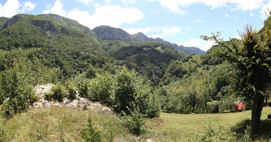 Casa Valea Cernei — peisajul din jur