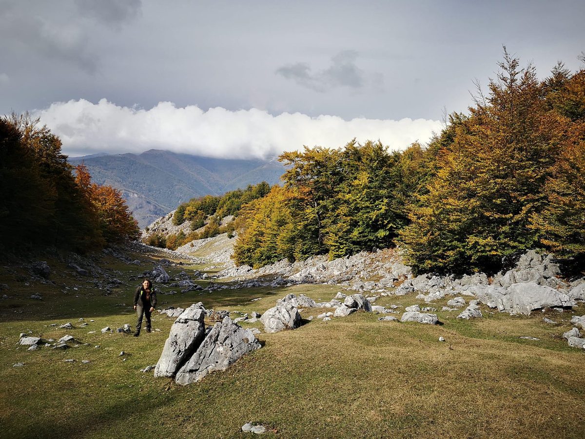 Ranger în parc