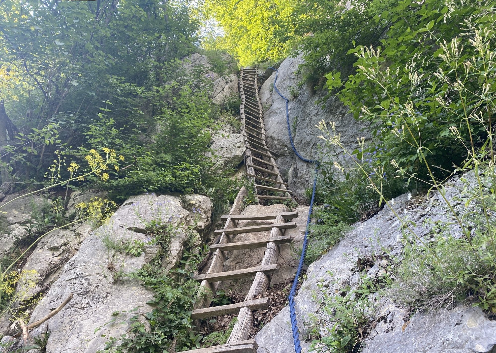 Drumeție spre cătunul Ineleț