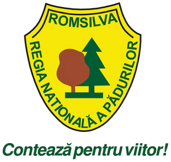 Romsilva